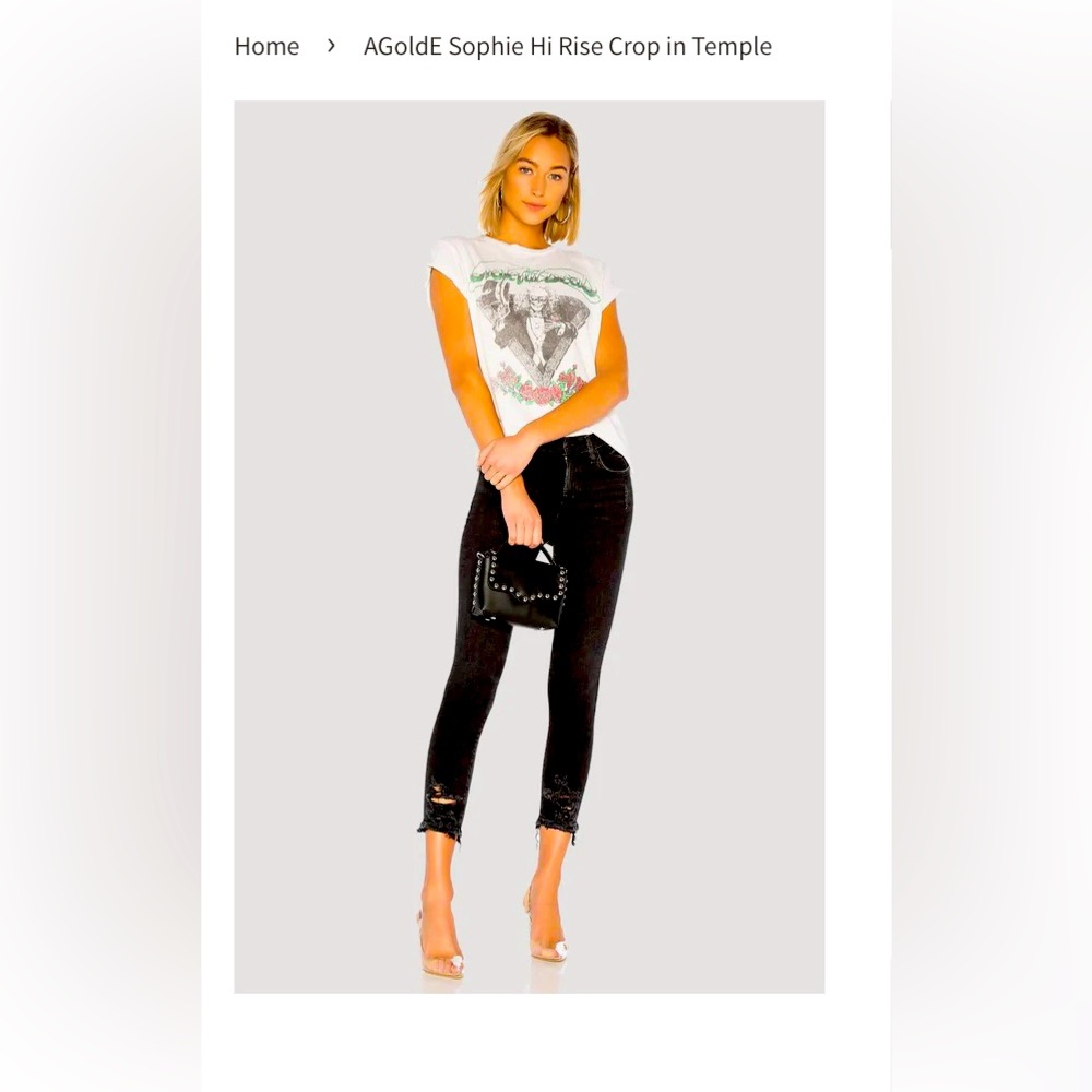 AGOLDE Sophie High Rise Skinny in the colour Temple.